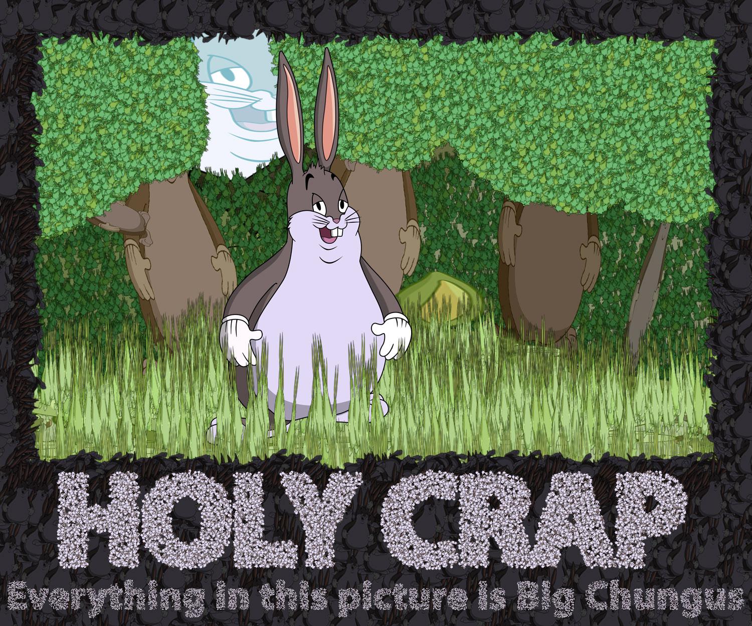 Everything In This Picture Is Big Chungus